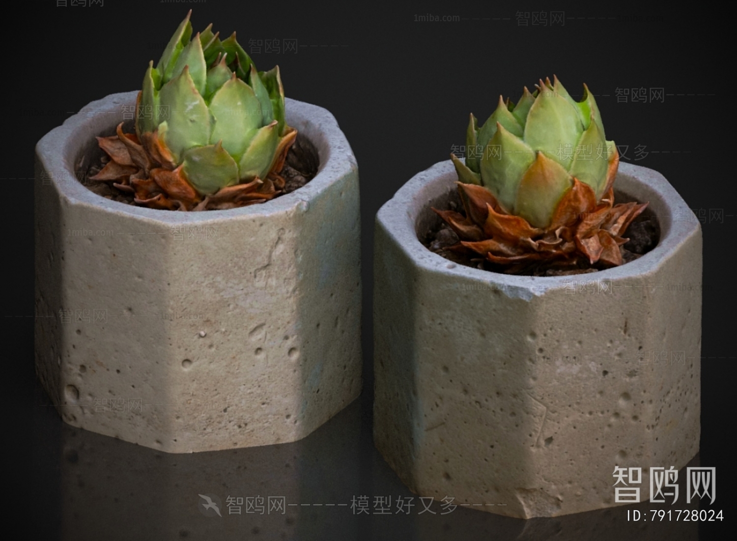 Modern Potted Green Plant