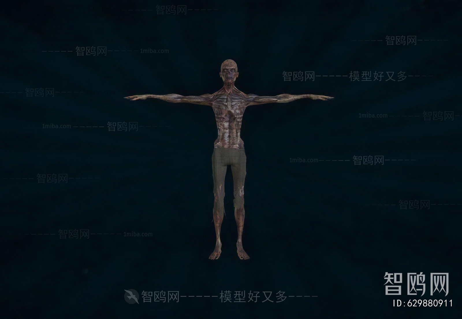 Modern Medical Equipment