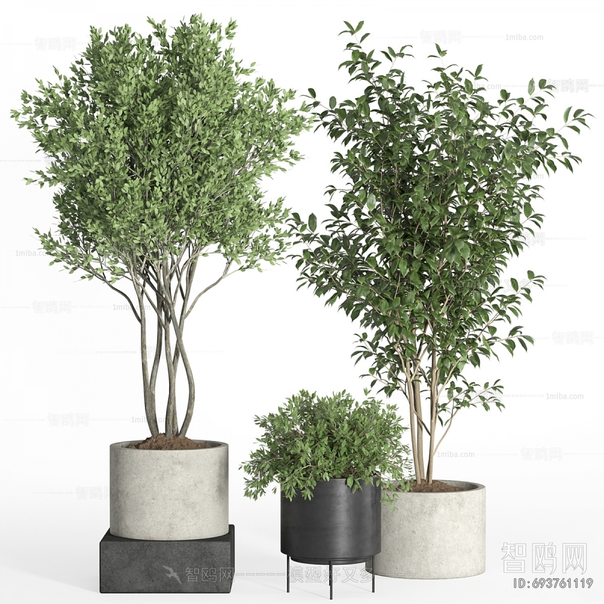 Modern Ground Green Plant Potted Plants