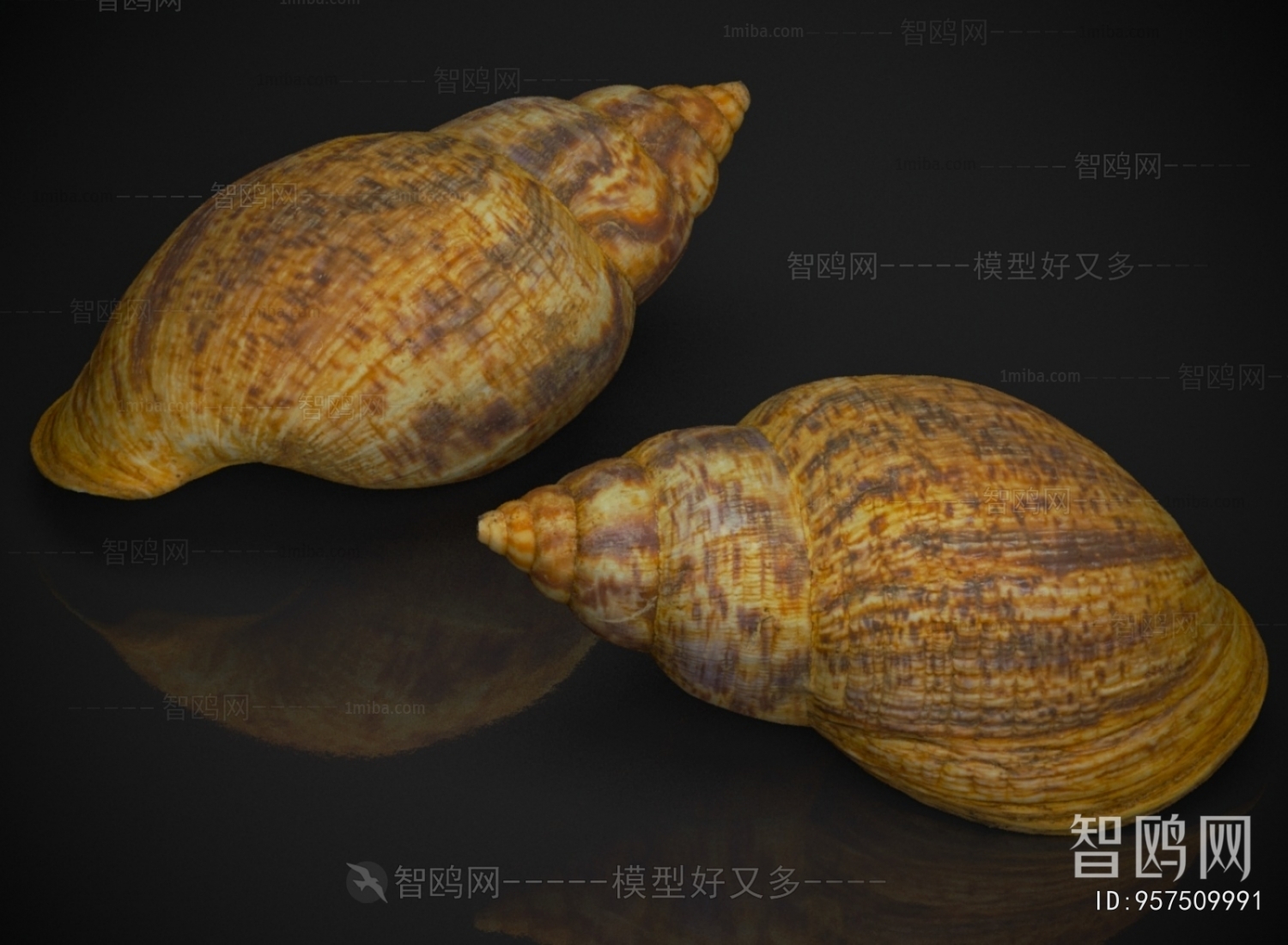 Modern Aquatic Product