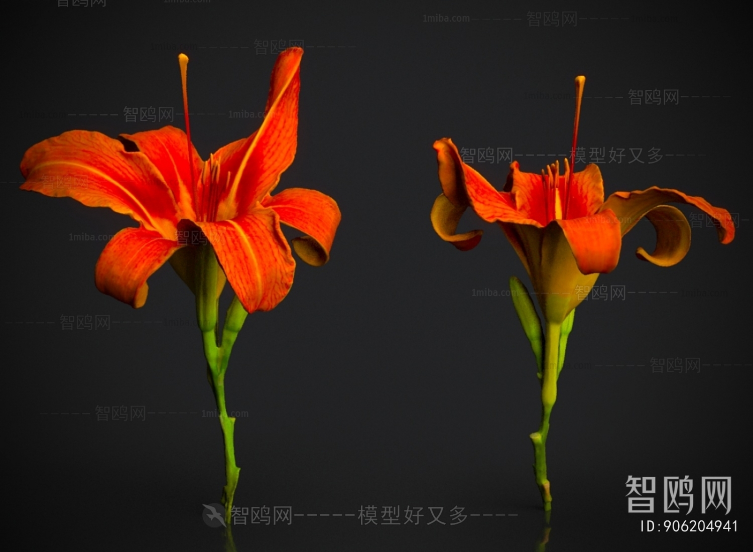 Modern Flowers And Grass