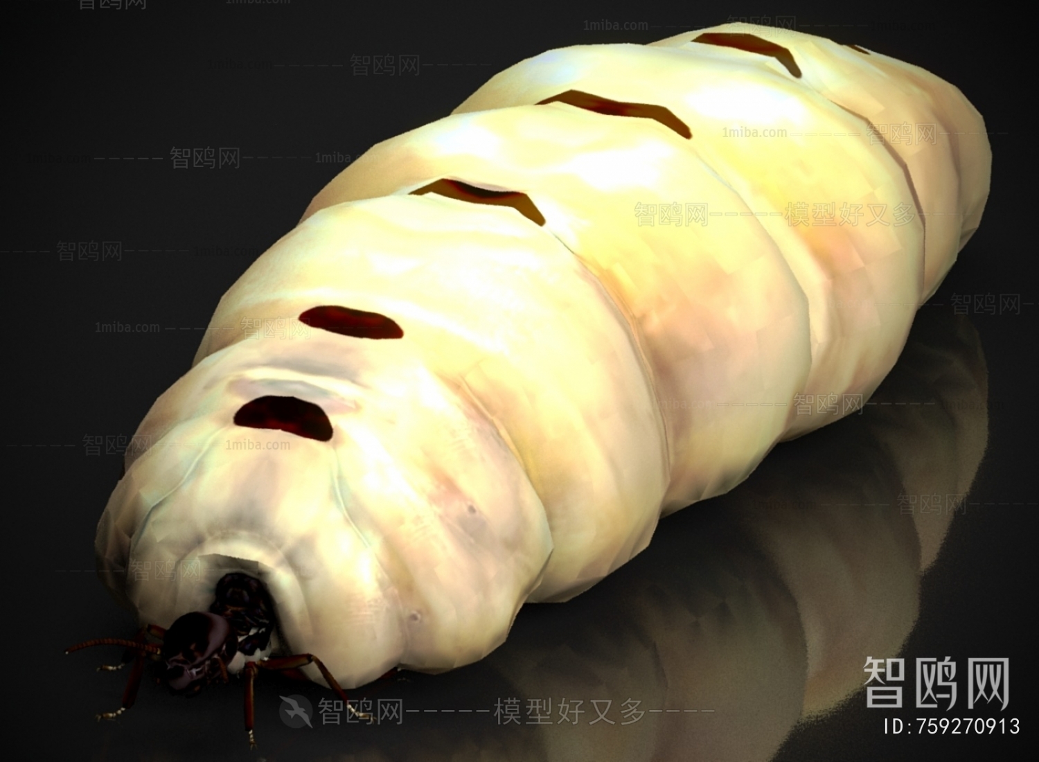 Modern Other Animals