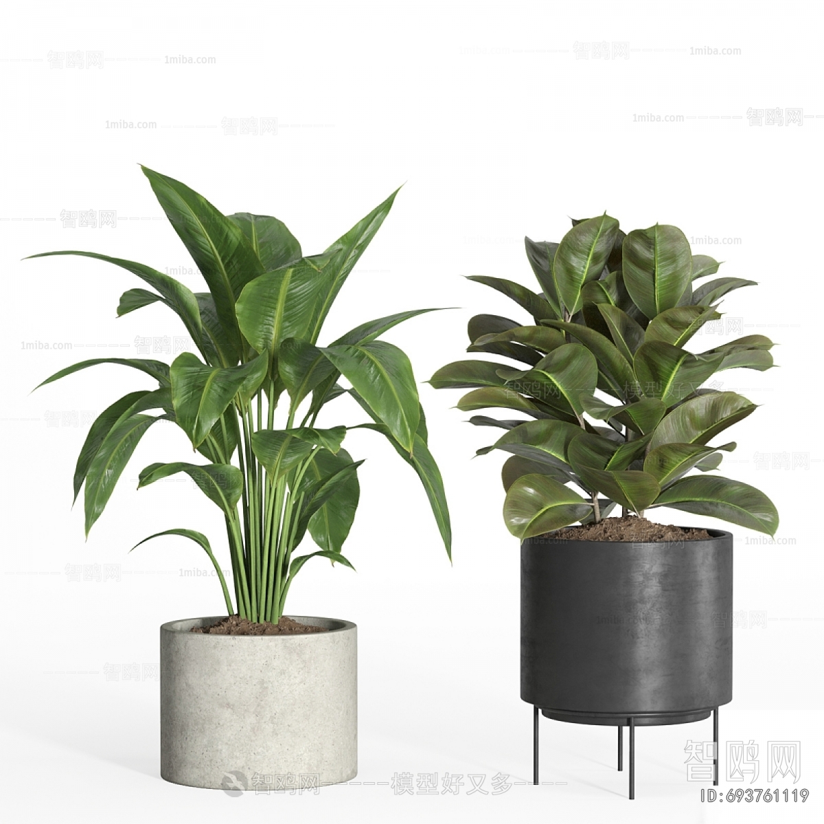 Modern Ground Green Plant Potted Plants