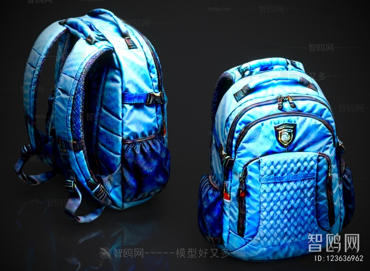 Modern Backpack And Backpack