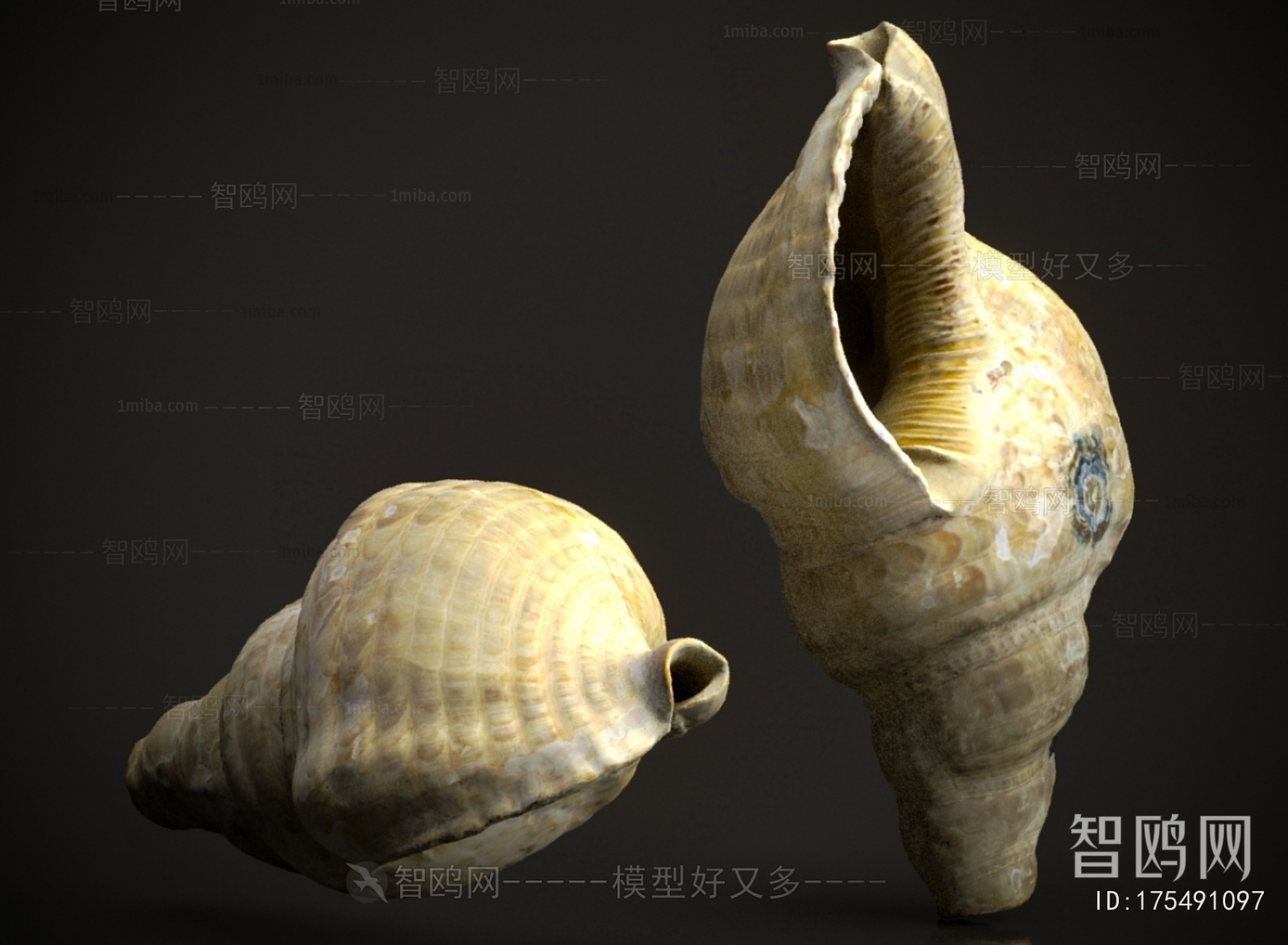 Modern Aquatic Animals