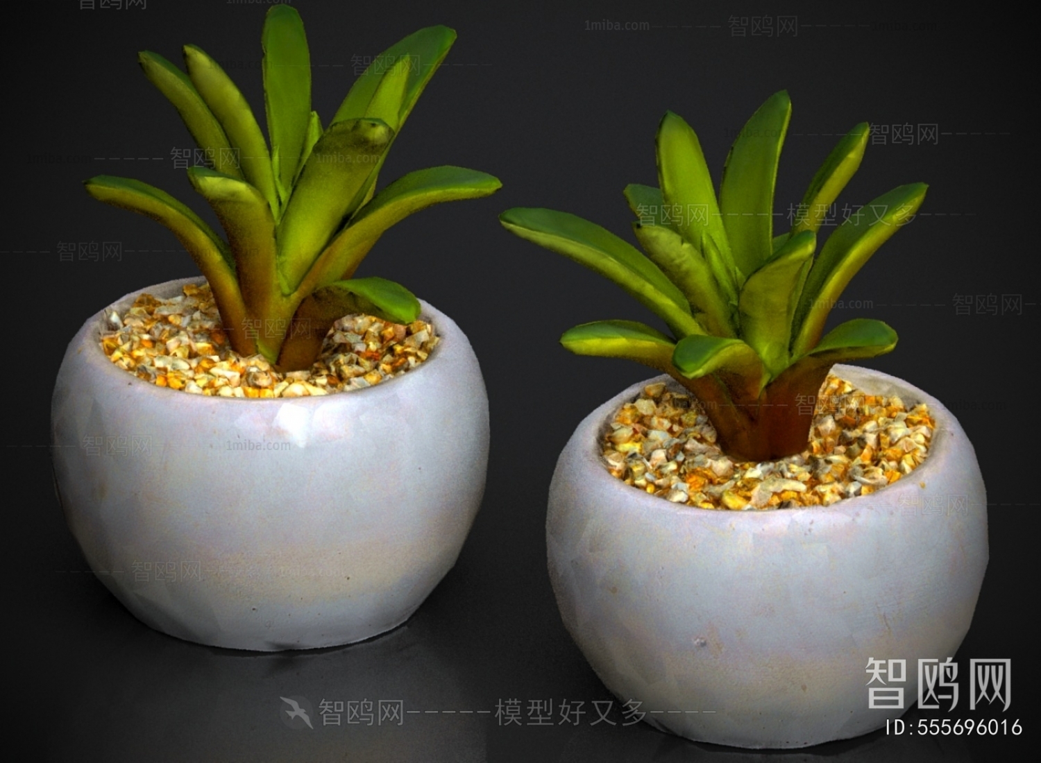 Modern Potted Green Plant