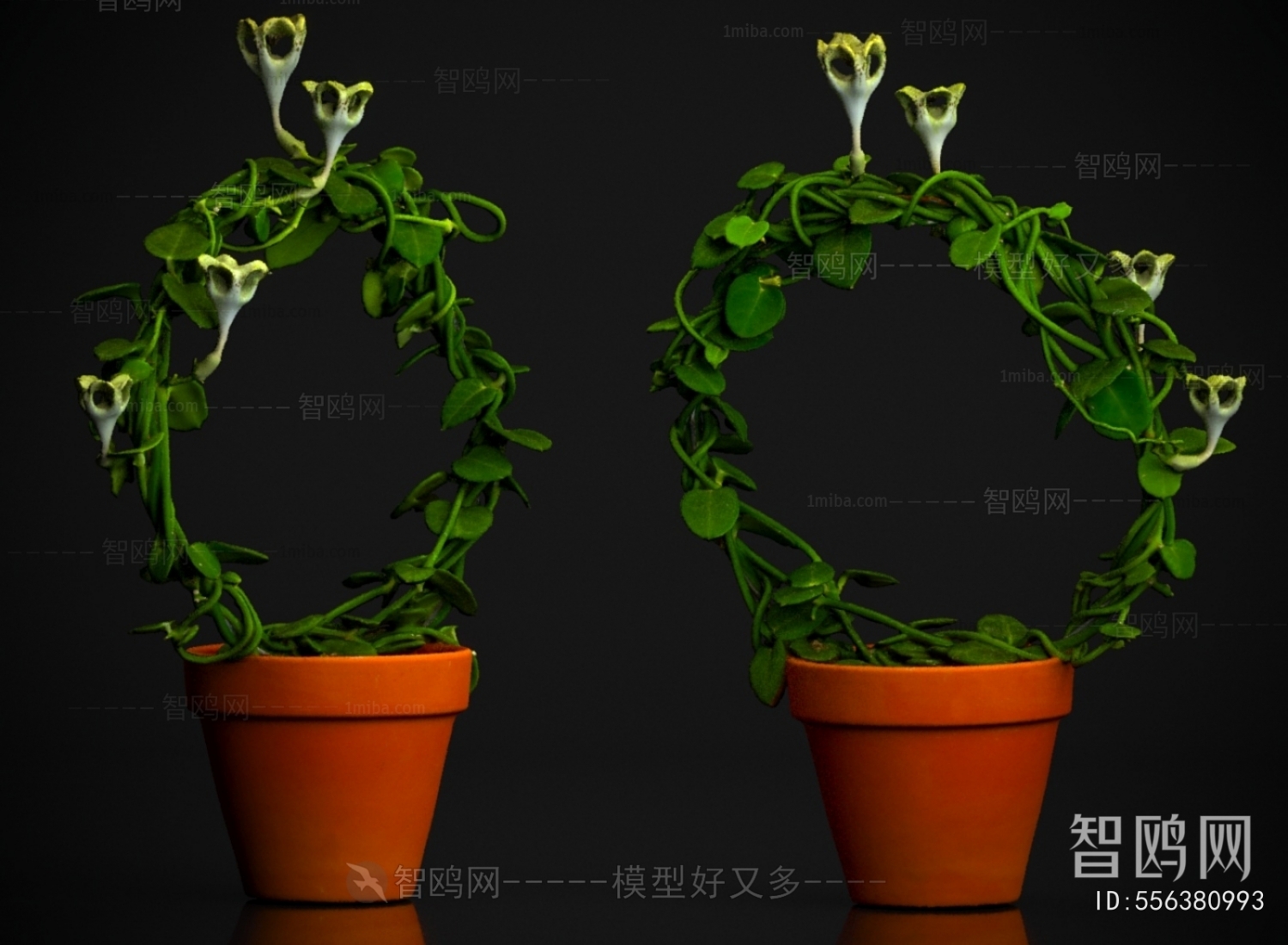 Modern Potted Green Plant