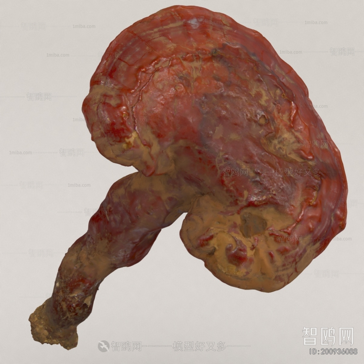 Modern Specialty Cooked Food Dry Goods