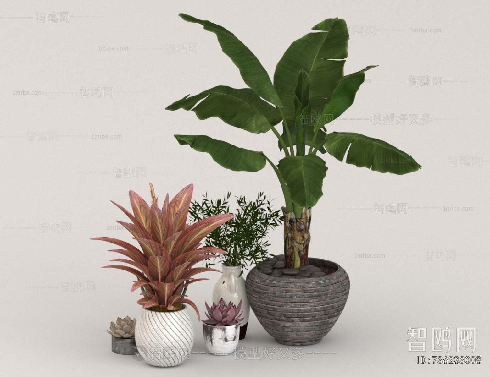 Modern Potted Green Plant