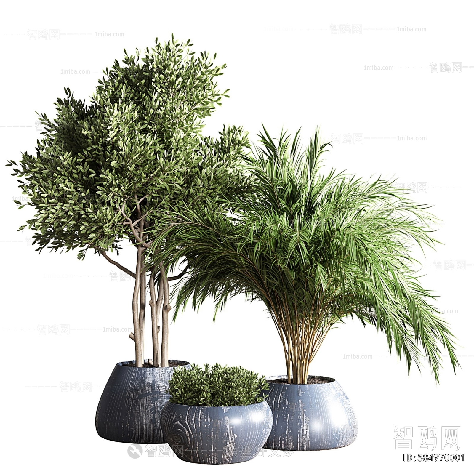 Modern Ground Green Plant Potted Plants
