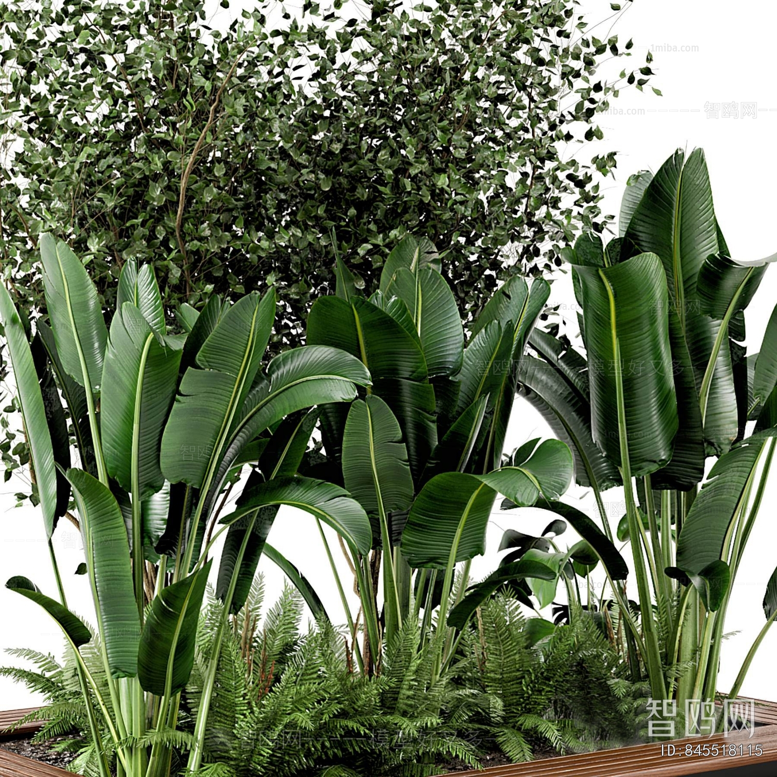 Modern Plant Pile