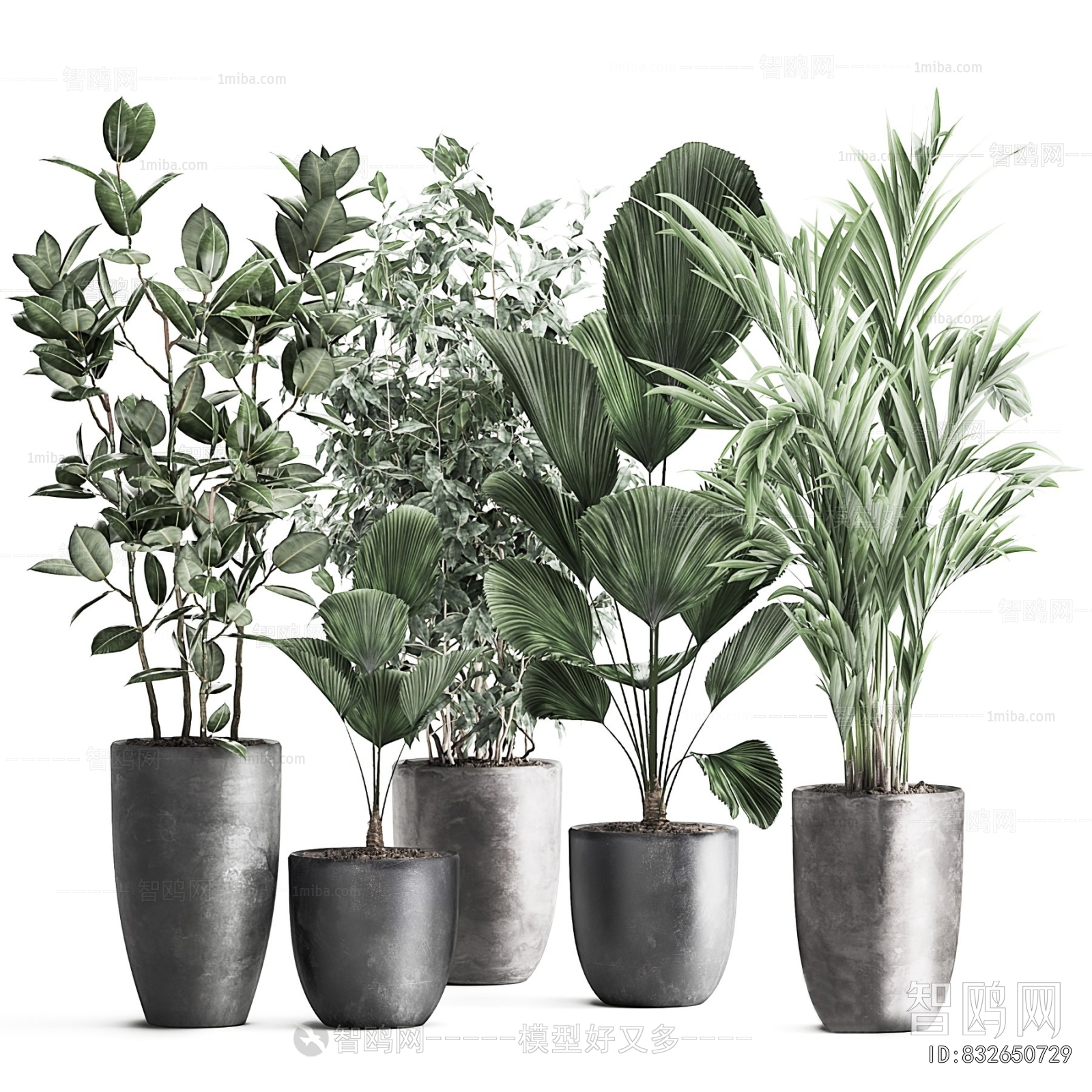 Modern Ground Green Plant Potted Plants