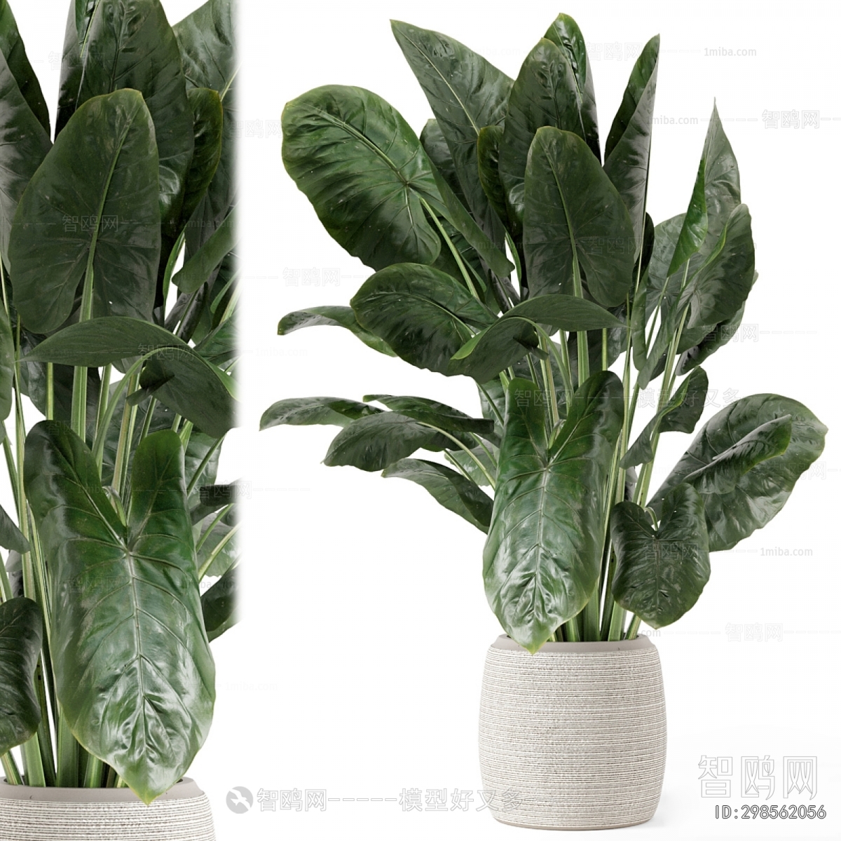 Modern Ground Green Plant Potted Plants