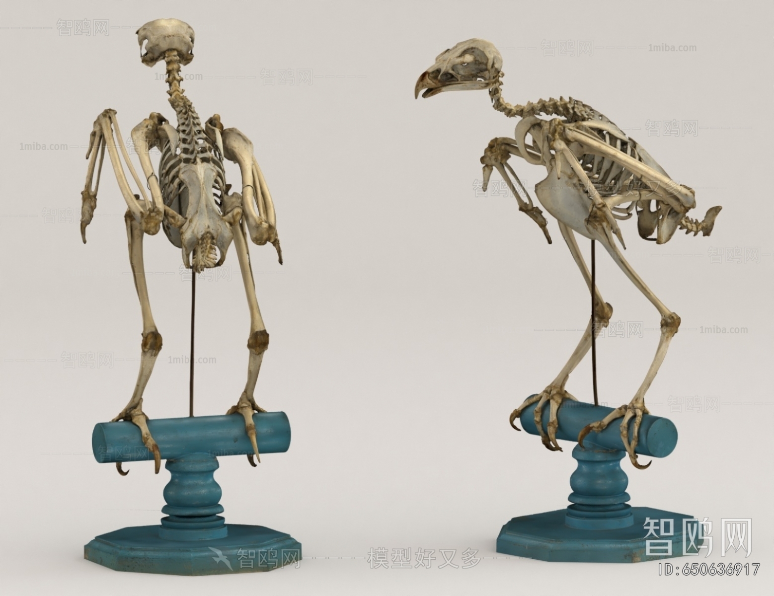 Modern Medical Equipment