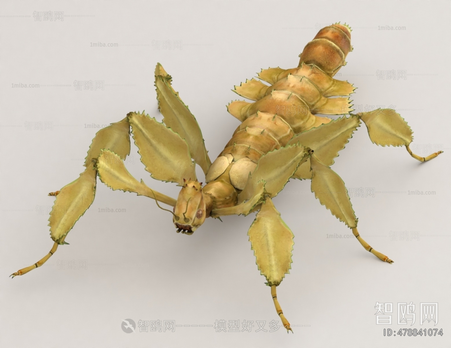 Modern Other Animals