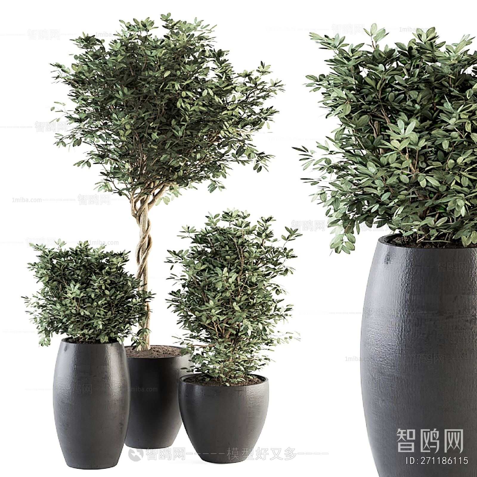 Modern Ground Green Plant Potted Plants
