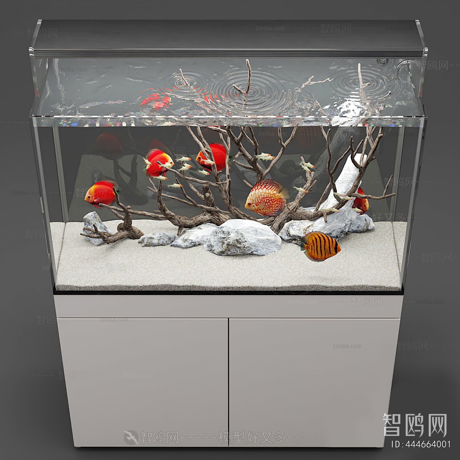 Modern Fish Tank