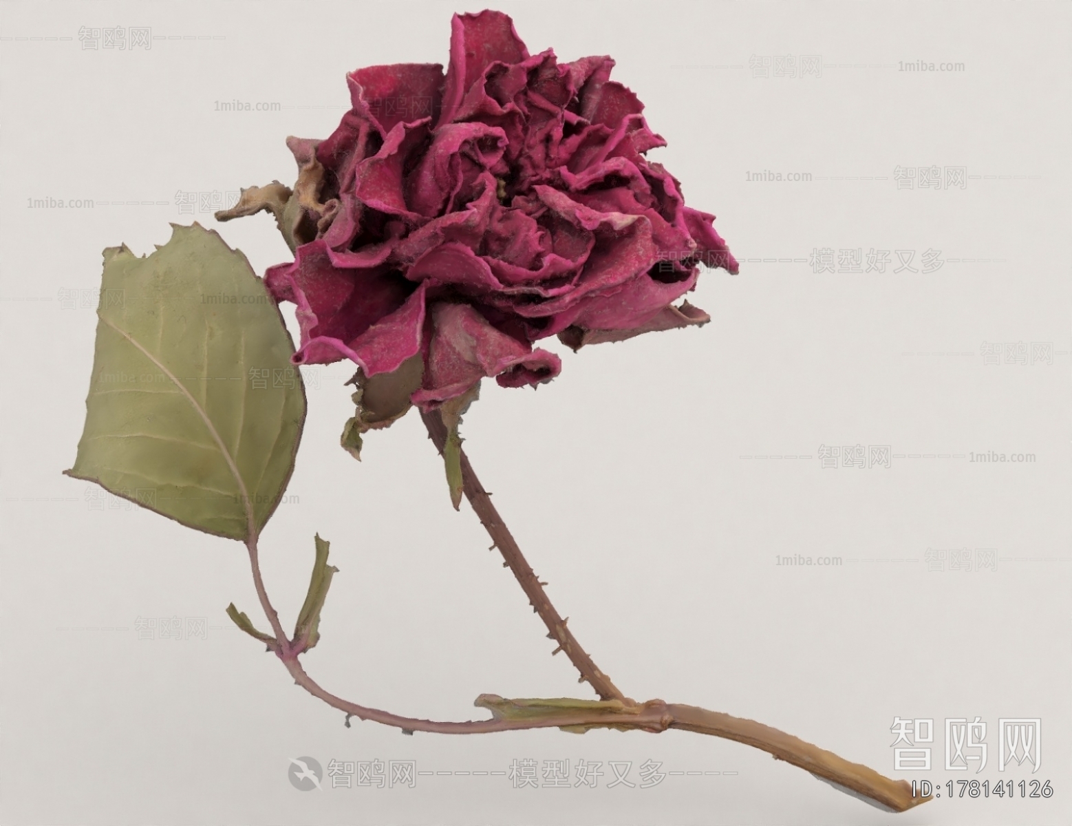 Modern Flowers And Grass