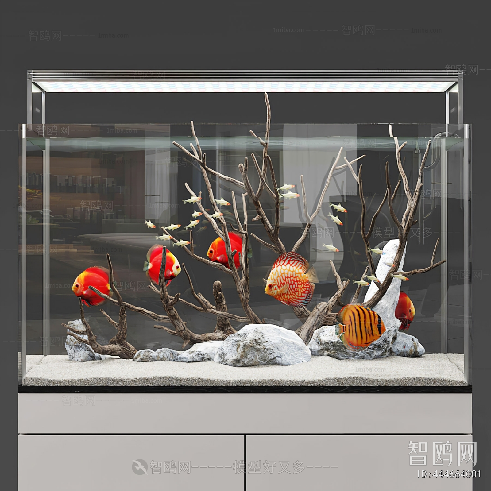 Modern Fish Tank