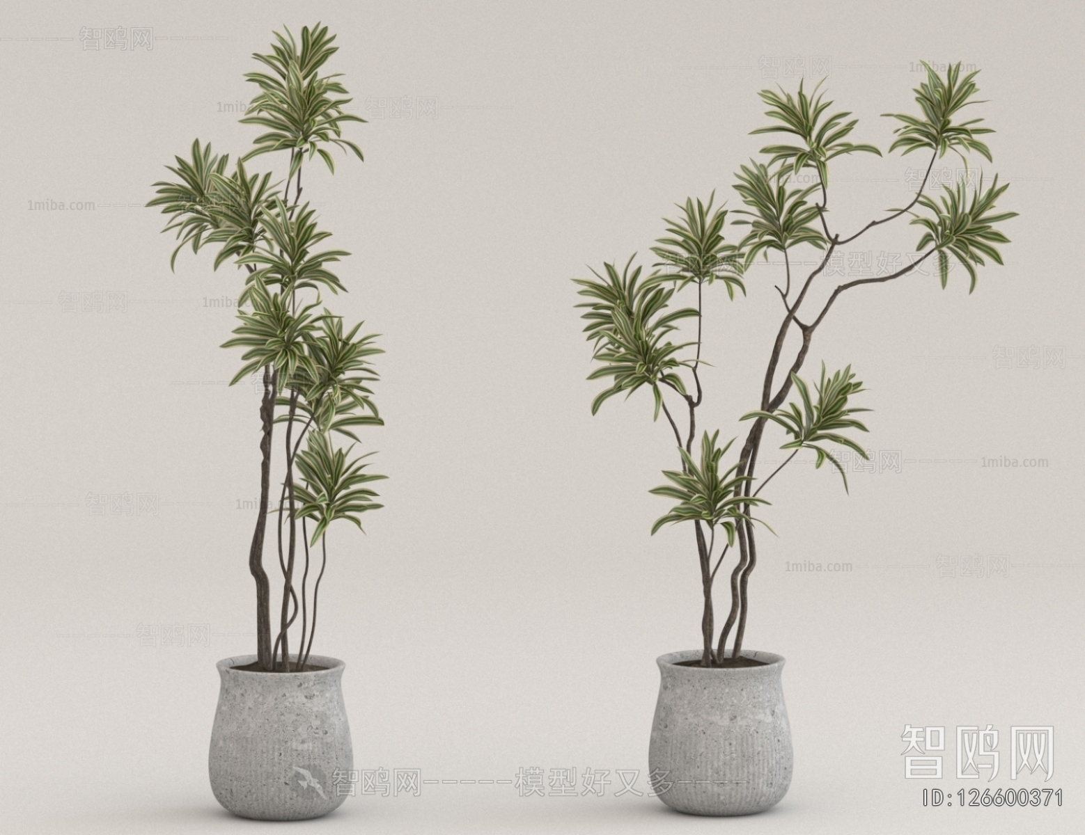 Modern Ground Green Plant Potted Plants