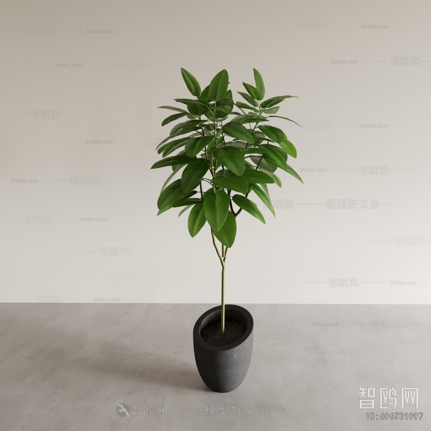 Modern Ground Green Plant Potted Plants