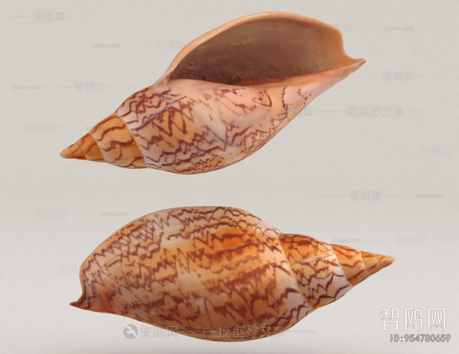 Modern Aquatic Animals