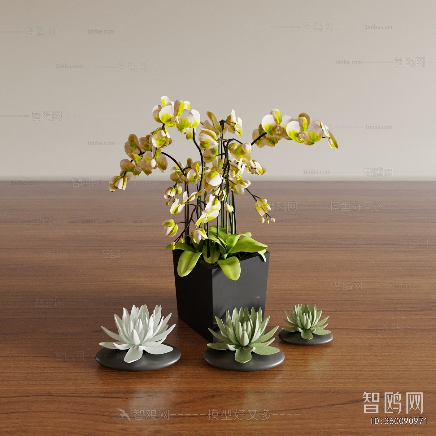 Modern Desktop Plant