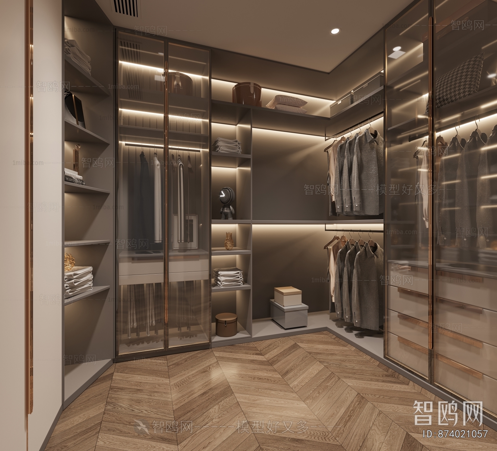 Modern Clothes Storage Area