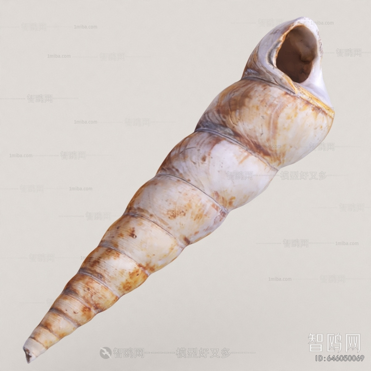 Modern Aquatic Animals