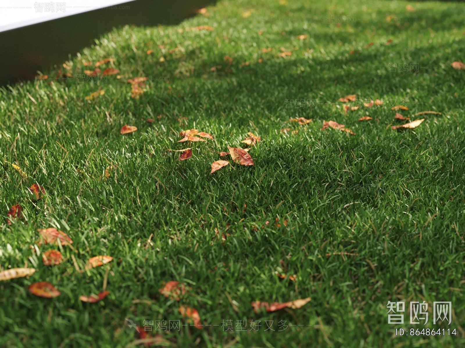 现代绿植草地