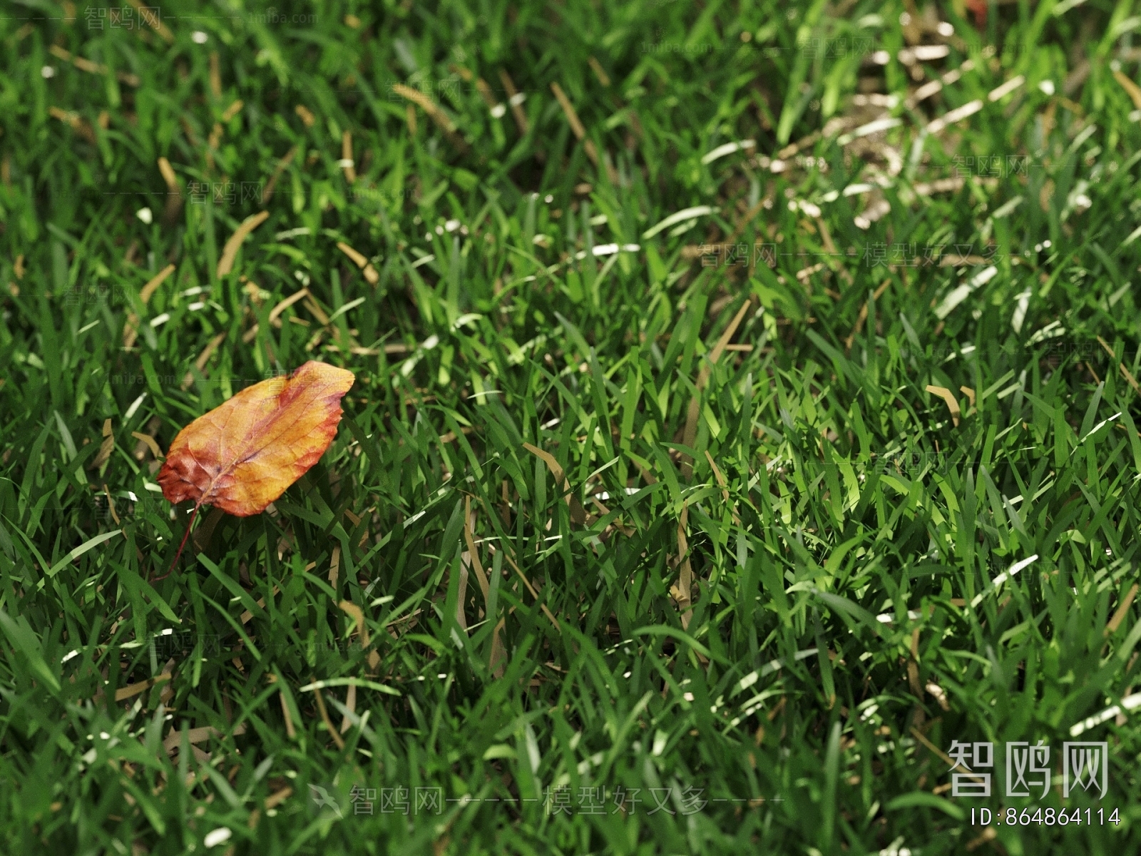 现代绿植草地
