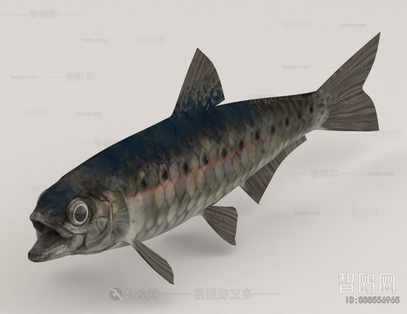 Modern Aquatic Animals