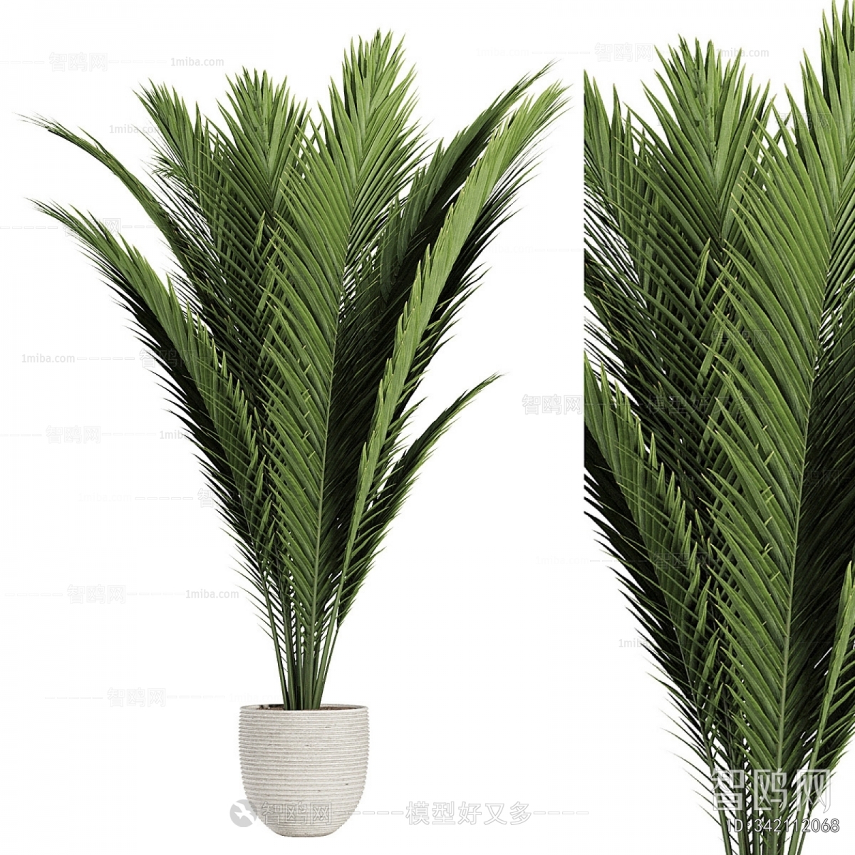 Modern Ground Green Plant Potted Plants