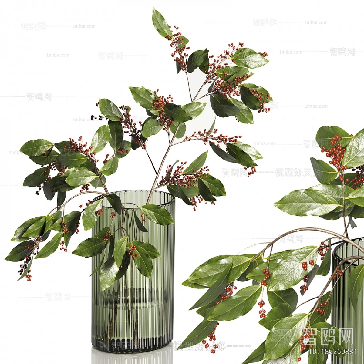 Modern Aquatic Green Plant