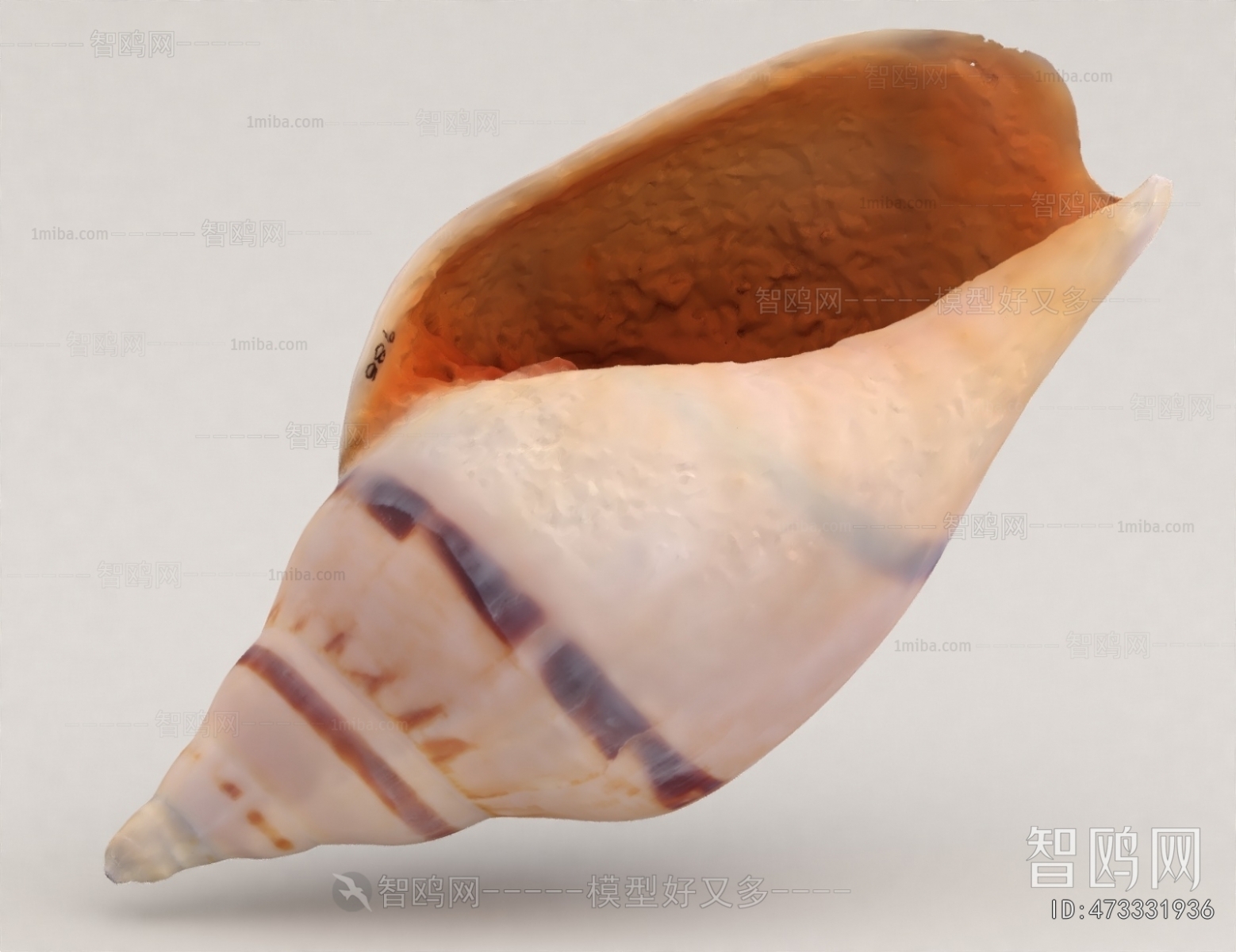 Modern Aquatic Animals