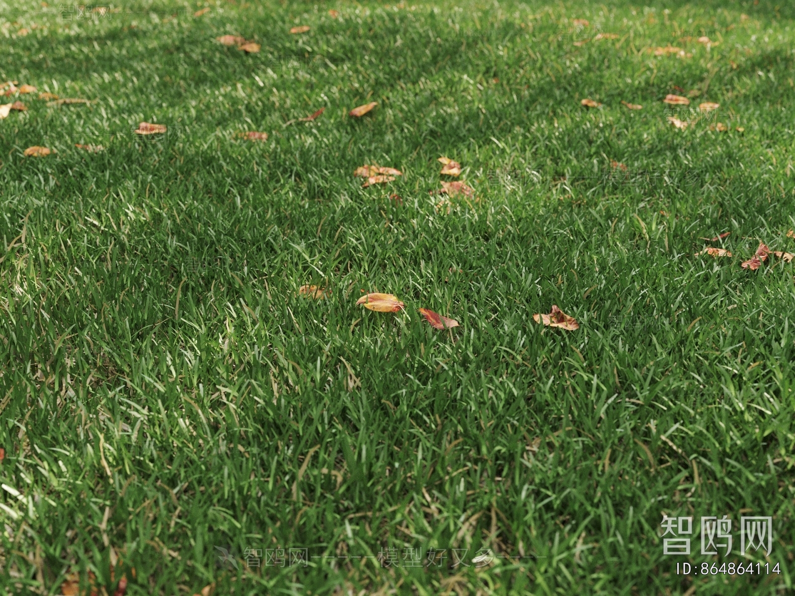 现代绿植草地