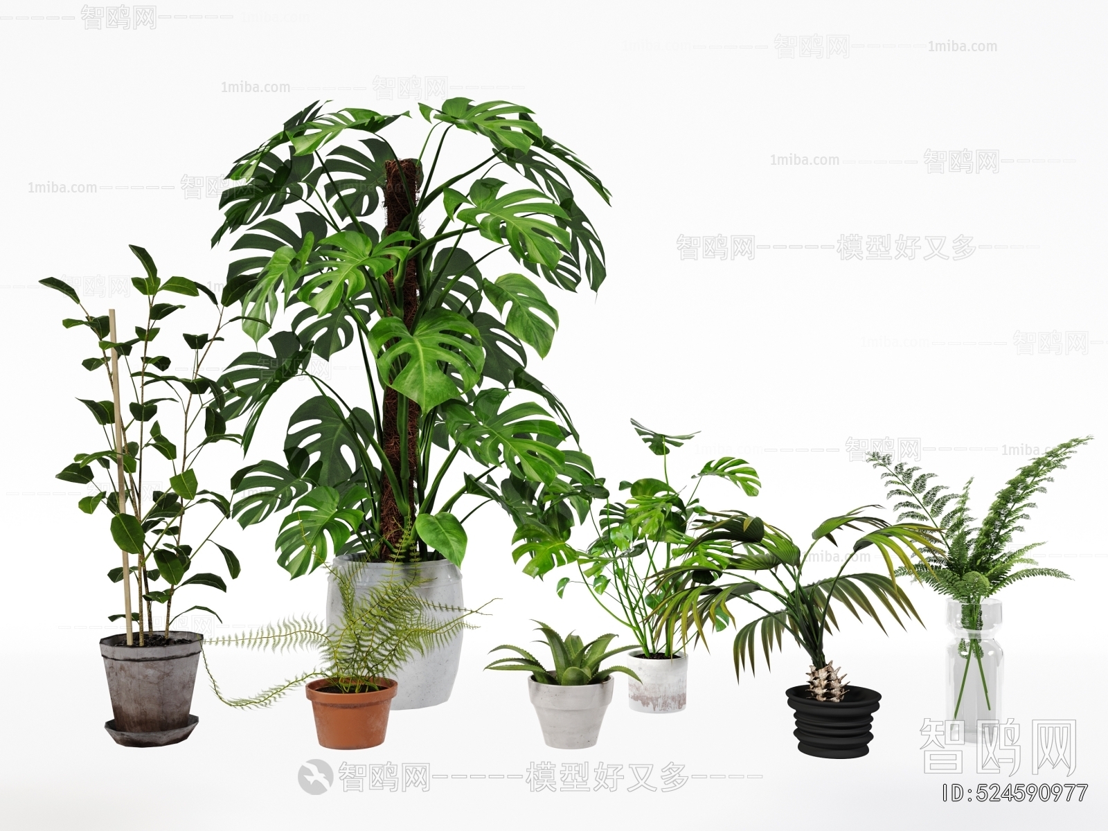 Modern Potted Green Plant