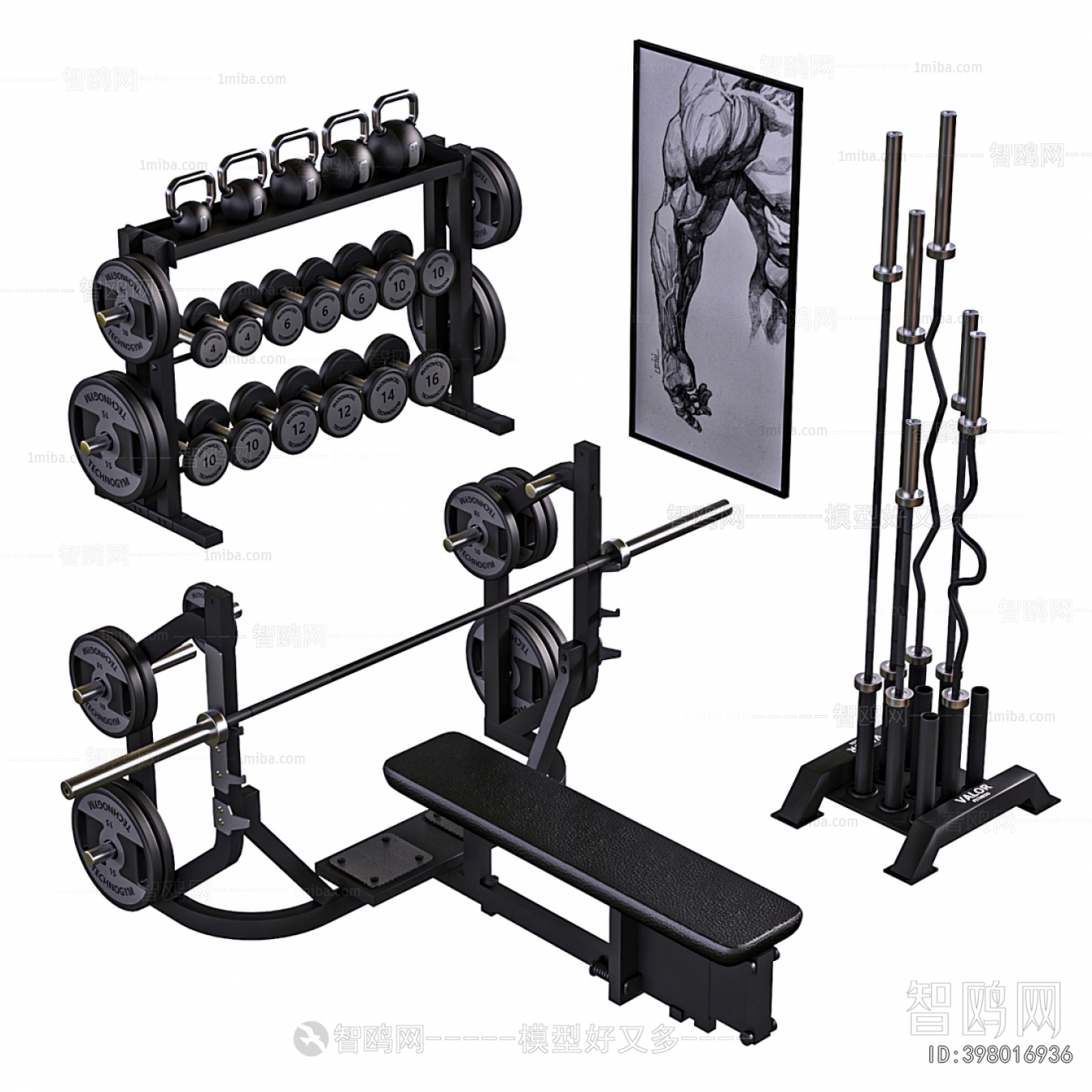 Modern Fitness Equipment