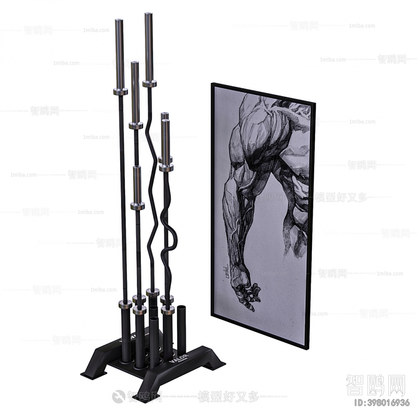 Modern Fitness Equipment