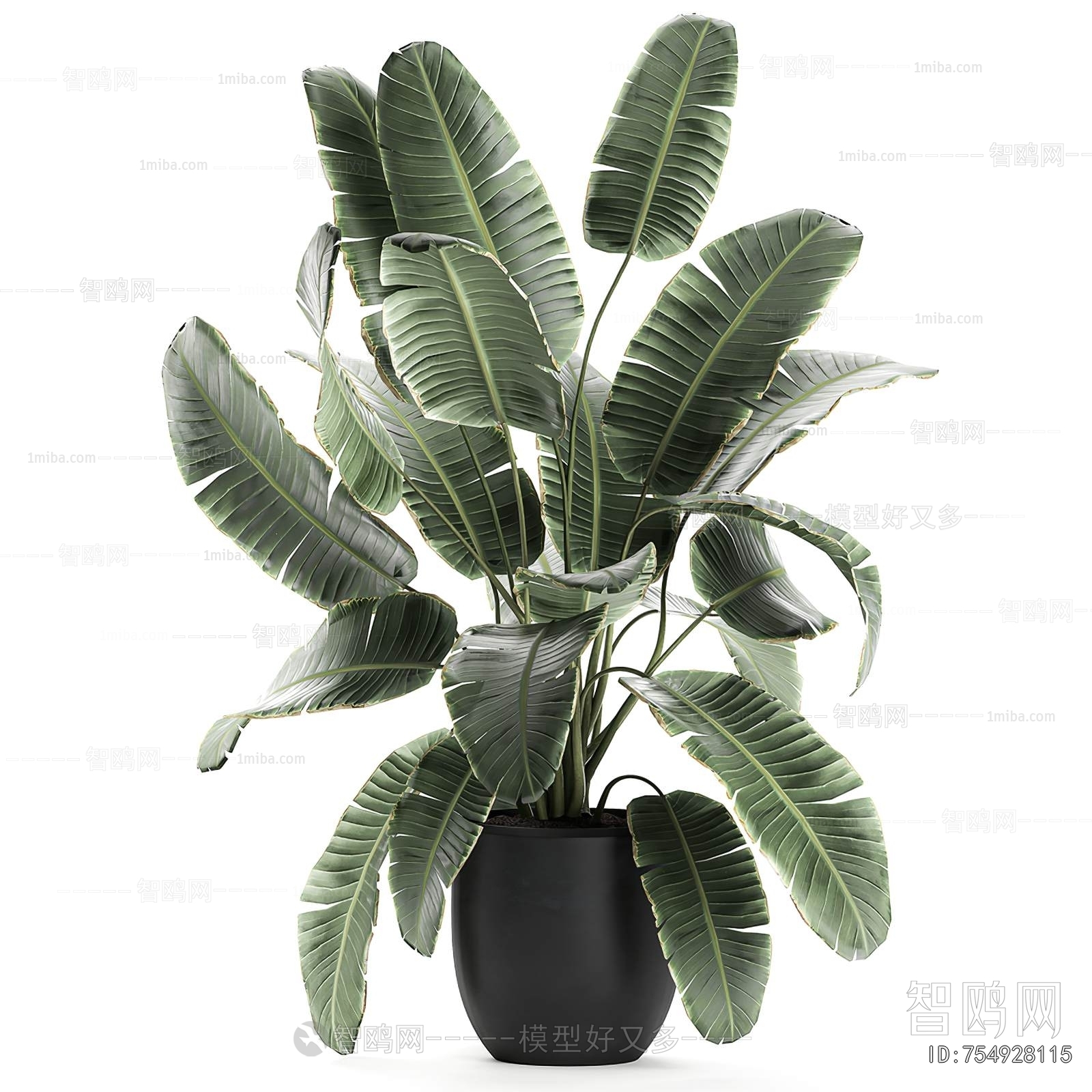Modern Ground Green Plant Potted Plants