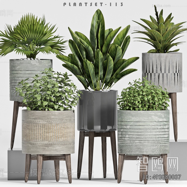 Modern Potted Green Plant