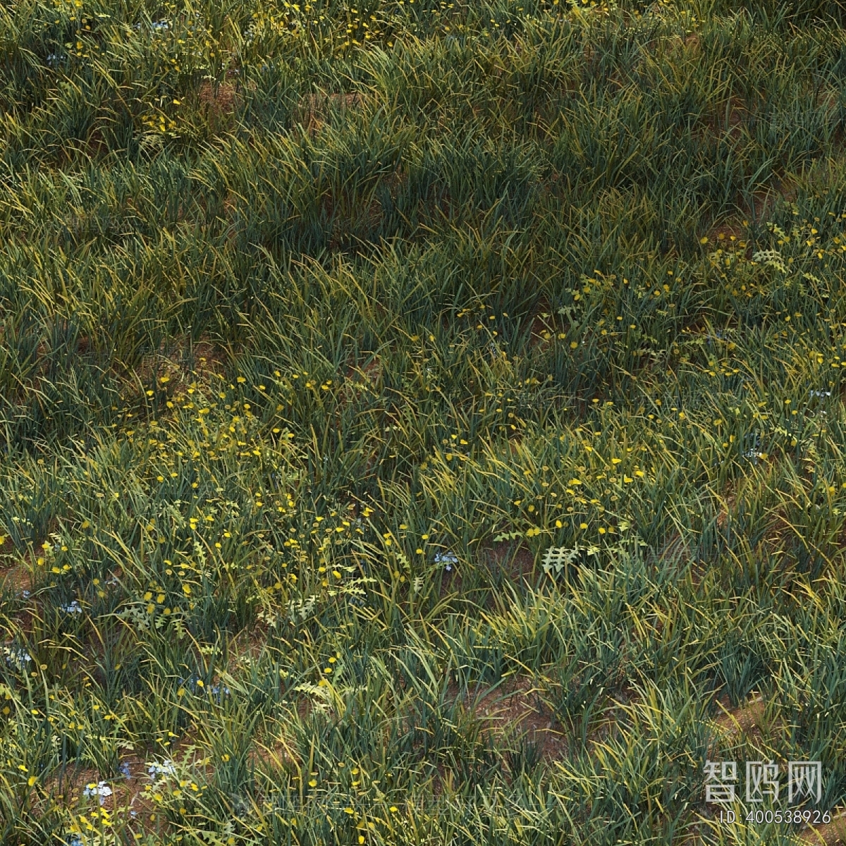 Modern Flowers And Grass