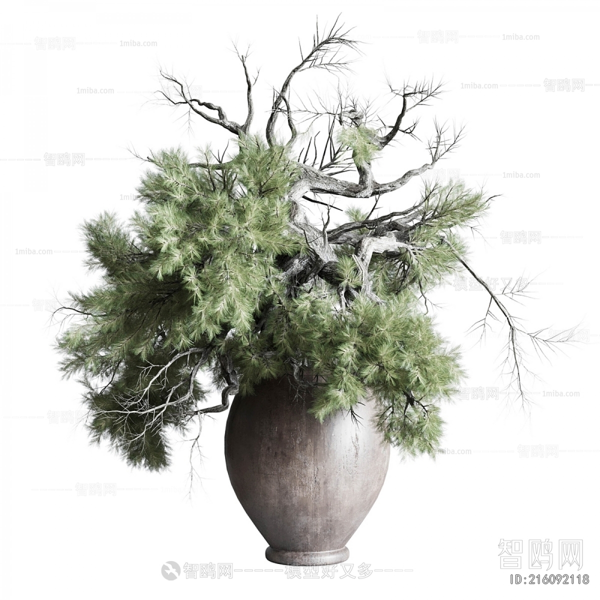 Modern Bonsai