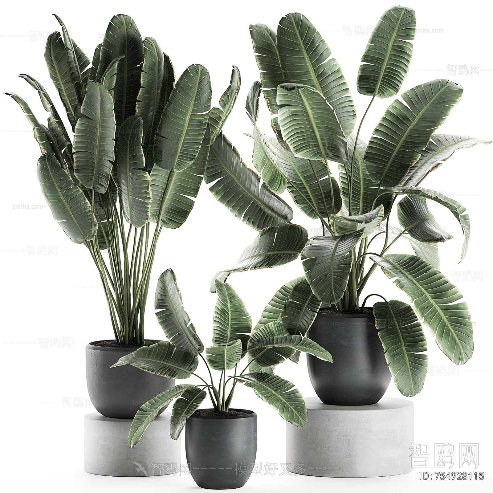 Modern Ground Green Plant Potted Plants
