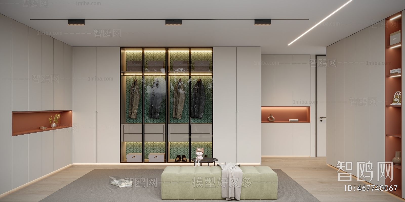 Modern Clothes Storage Area