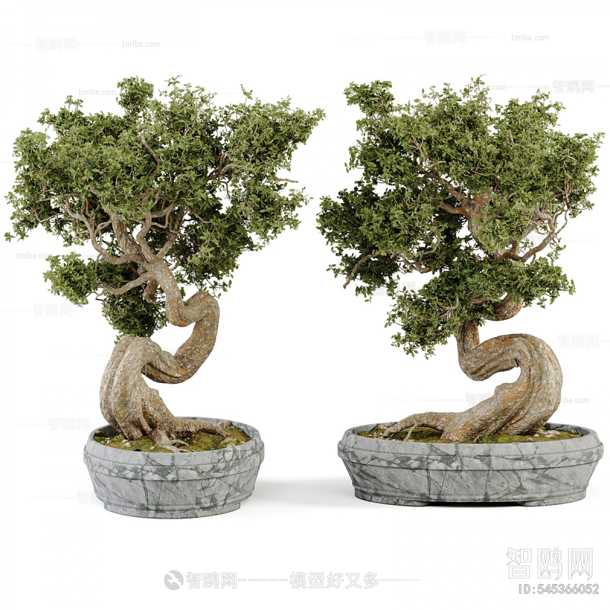 Modern Bonsai
