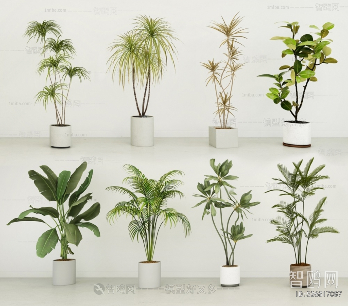 Modern Ground Green Plant Potted Plants