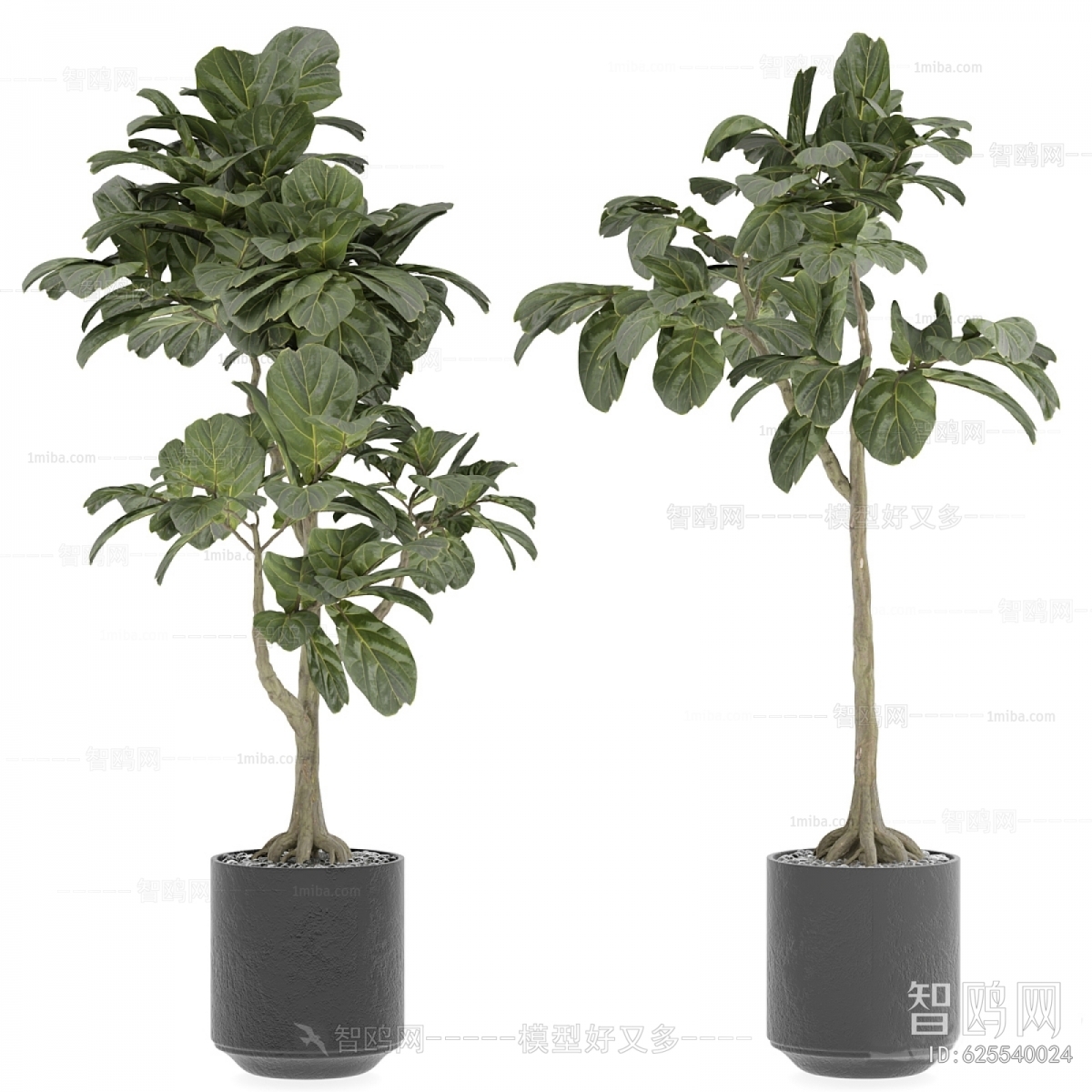 Modern Ground Green Plant Potted Plants