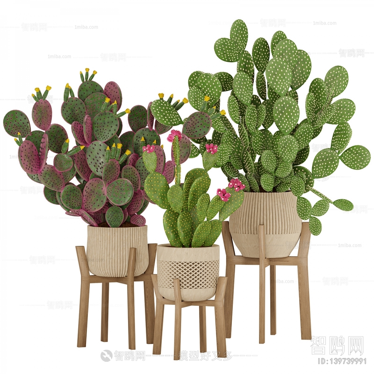 Modern Potted Green Plant