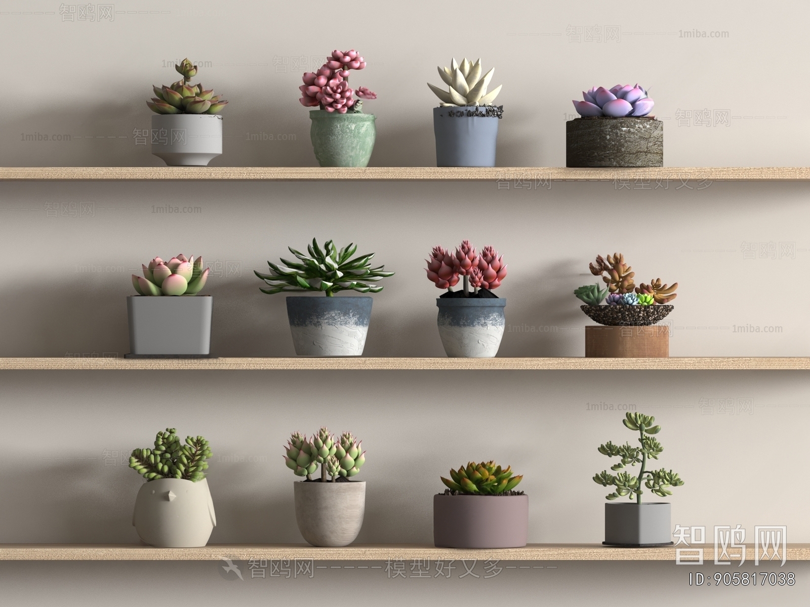 Modern Potted Green Plant